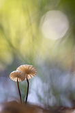 h2a4734-1920px-s.jpg