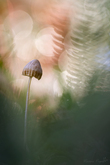 h2a5756-1920px-s.jpg