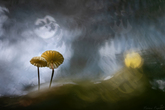 h2a4838-1920px-s.jpg