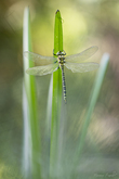 h2a8969-1920px-s.jpg